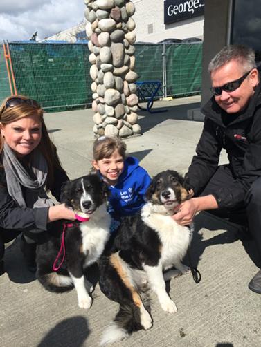 VictoriaHumane's tweet image. 