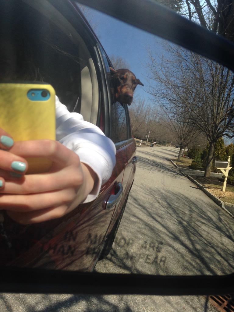 _highlogic's tweet image. when you hotbox the car and need to air out