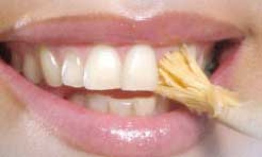 truebrush's tweet photo. @GreenBuddhaLife Help support this #AllNatrural toothbrush 5DaysLeft #Kickstarter http://t.co/CJYFJbb31z #environment http://t.co/gz37pCPI0F
