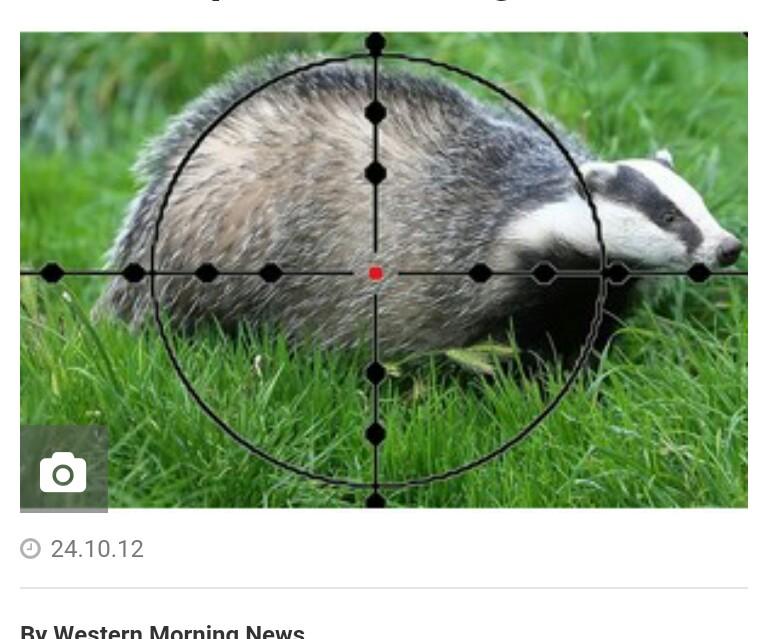 jackgritton's tweet image. 2nd half is coming...sighted in....  @twilliestein @KentuckyMBB @BigB1ue9ation  @TheCatsPause247  @UKSportsZone