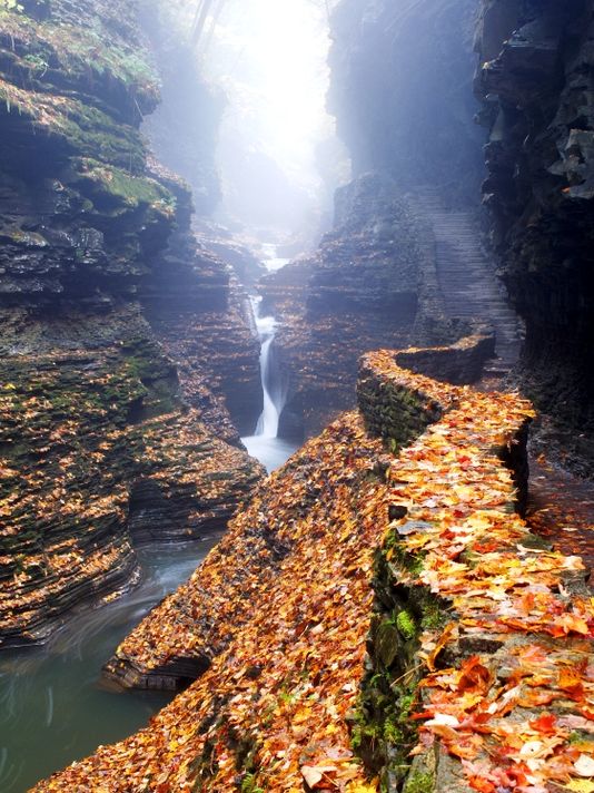 WeAreSenecaLake's tweet photo. "Nature sought to give her masterpiece ... she carved a channel in the rocks &amp; fashioned #WatkinsGlen." —Oren Andrew http://t.co/gA2zIlTGpP