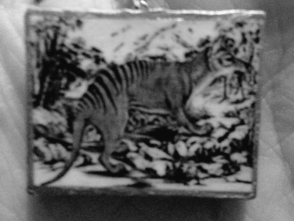 left_in_Hell_'s tweet photo. The thylacine is my spirit animal. Mostly because it's extinct and a lot of people forgot about it. #neverForgetAdam http://t.co/a6VgIzLLsC