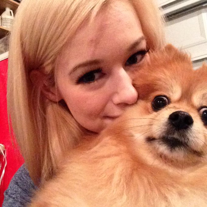 I love the derpy little face on this Pom!! http://t.co/2xiuZG7yee<a href="/tag/modelcontest"class="tags"><span>#modelcontest</span></a><a href="/tag/vote"class="tags"><span>#vote</span></a><a href="/tag/contest"class="tags"><span>#contest</span></a>