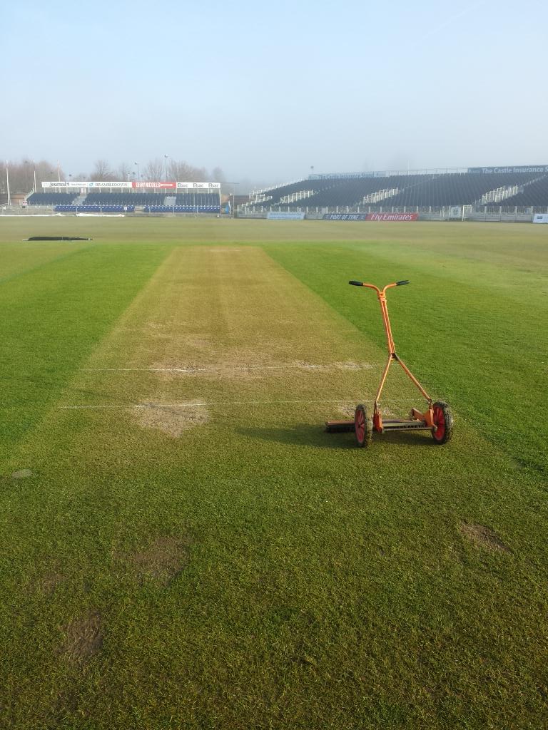 IanDemain's tweet image. My contribution, brushing the nets. #nottrusted