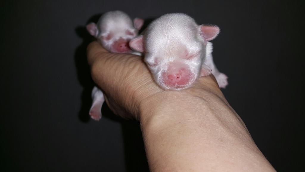 동자꽃 (@yoklove3367) on Twitter photo 