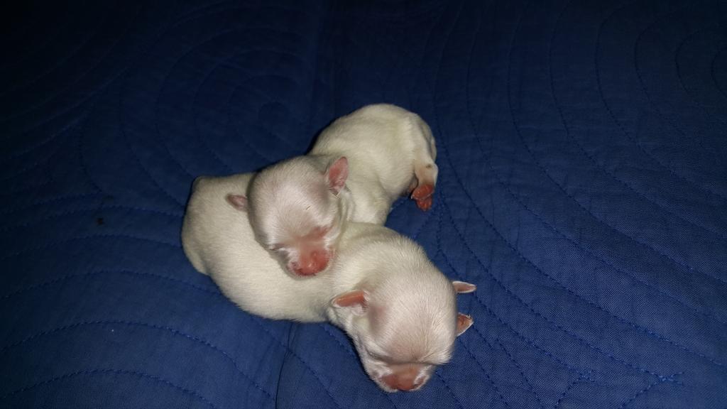 동자꽃 (@yoklove3367) on Twitter photo 