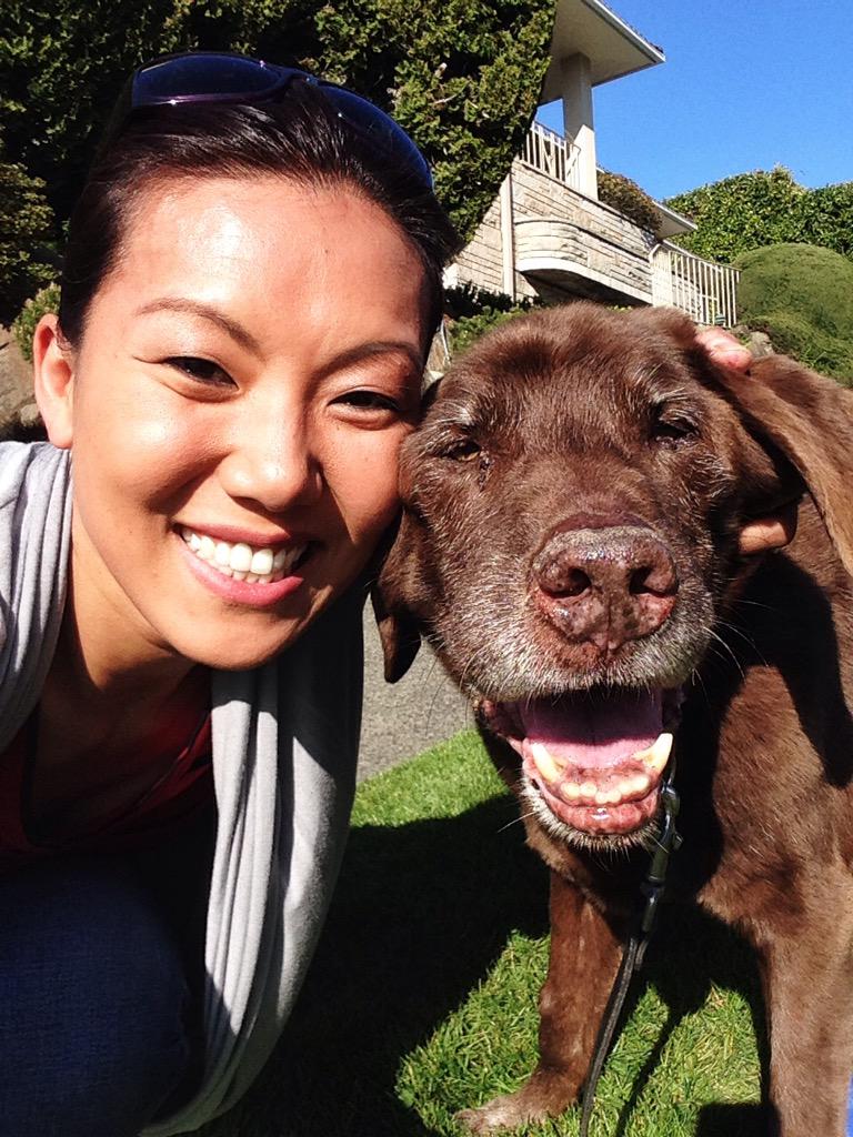 Mary_Nam's tweet photo. Happy 15th Scanner! #goodboy #captaingreybeard #furbaby http://t.co/E7YwPI3j2y