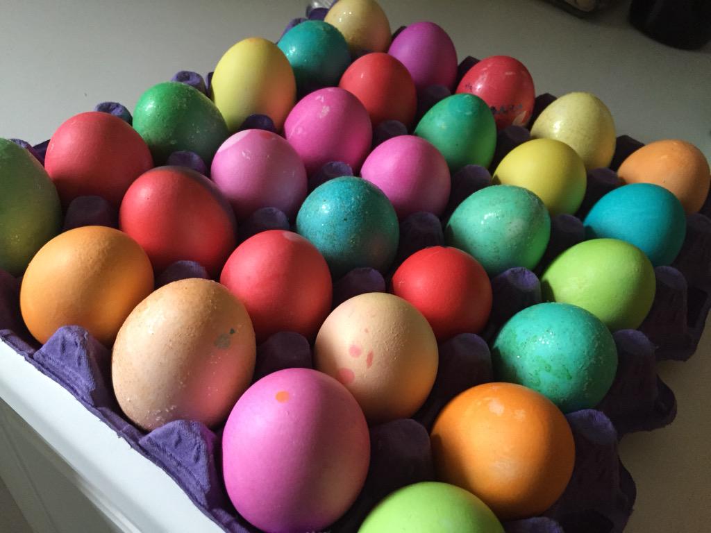 CHNA_CA's tweet photo. Another reason we @Love_Sacramento! Our neighborhood #easteregg hunt at Colonial Park! #bringthekiddos http://t.co/Aq8DBhqOQP