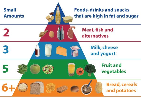 YogaArtofLife's tweet photo. Healthy Food Pyramid for Kids.
#HealthTips #DailyHealthTips #YogaArtofLife #AndarakeeAarogyam http://t.co/JpYlv4D9EU