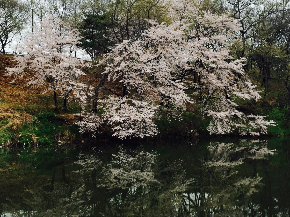 이병률 (@kooning11) on Twitter photo 