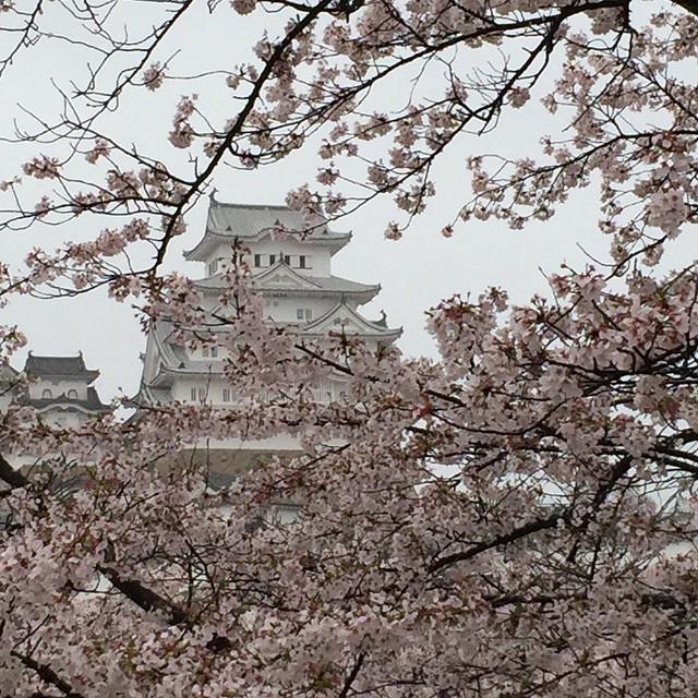 HowardLask's tweet image. Himeji Castle