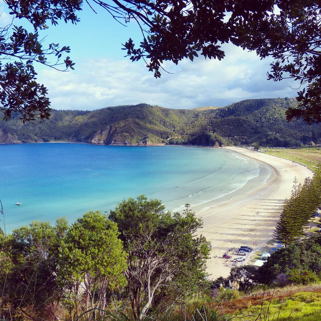 Lifeupsidedown2's tweet photo. This is what heaven looks like #bayofislands #newzealand http://t.co/IjYLbwHcB4