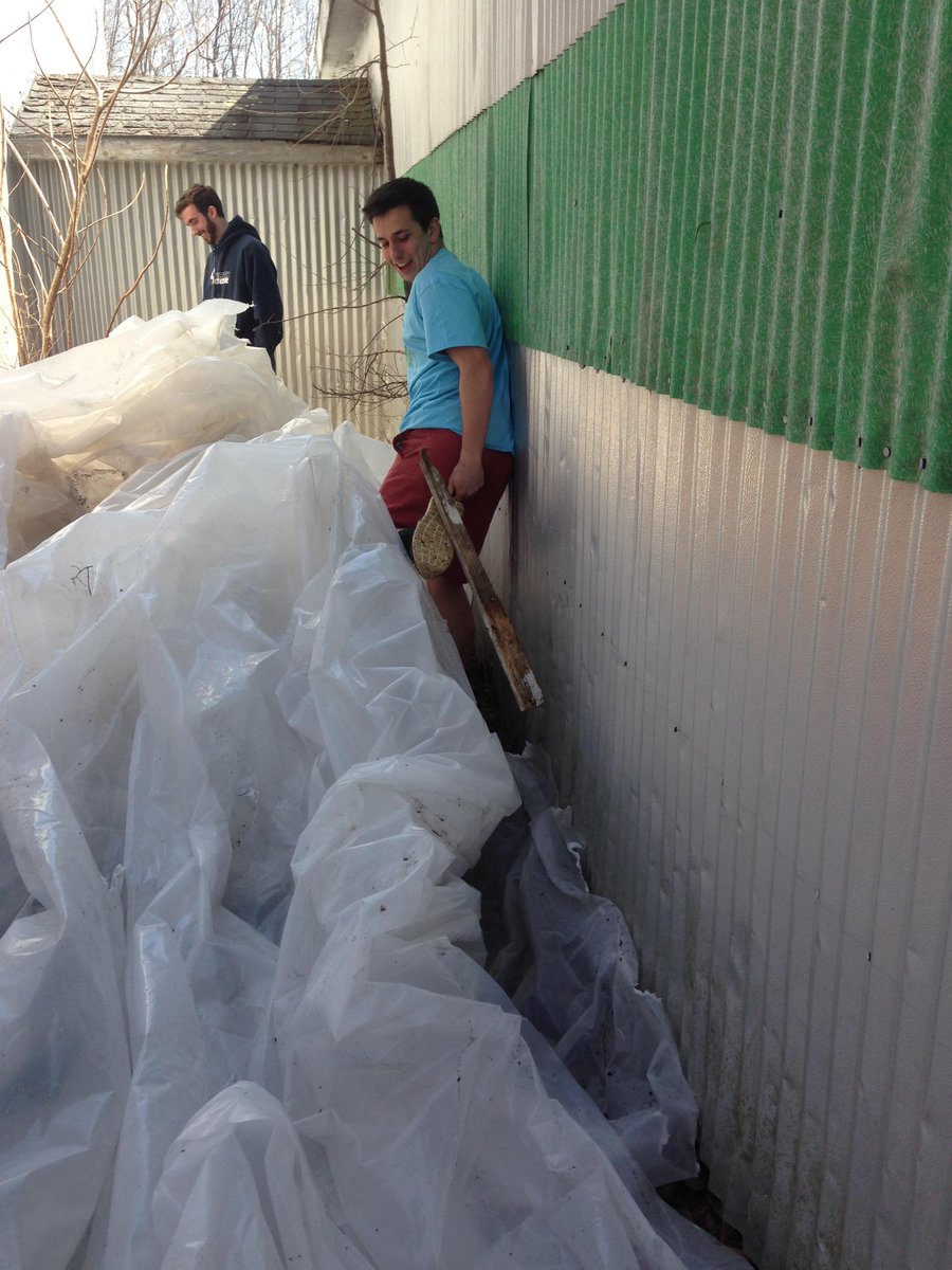 IanDieli's tweet photo. @jcblooooo coming half an inch away from tetanus all for some charity work #SpringServiceDay http://t.co/TtYmTZING4