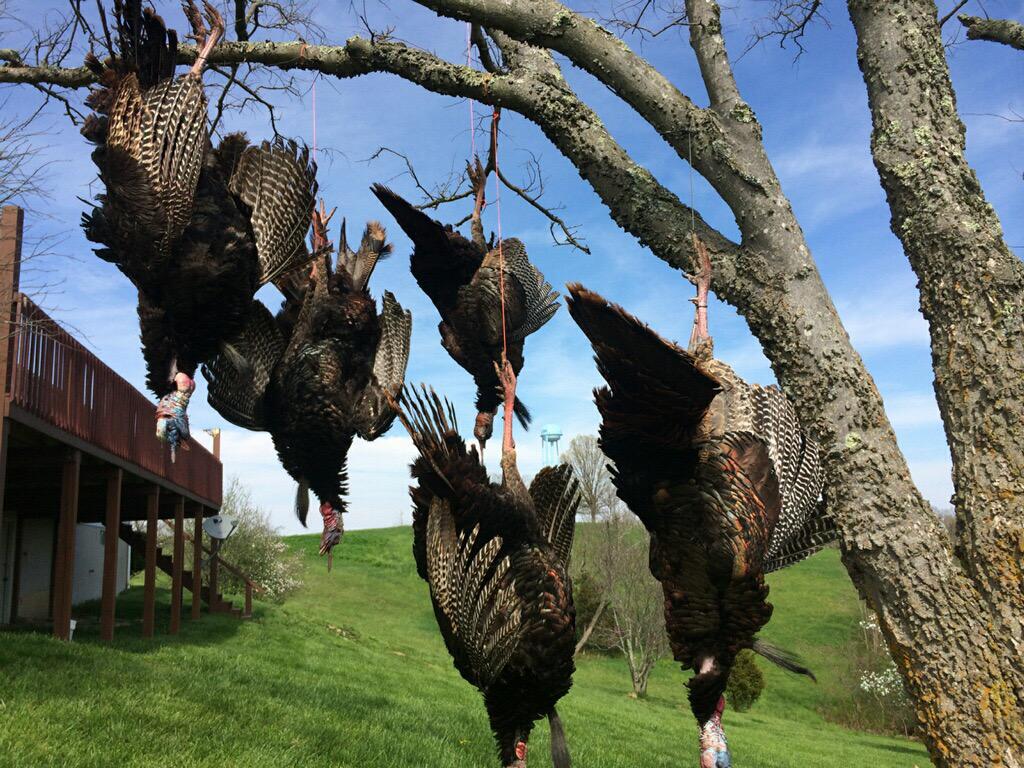 RushUltimate's tweet photo. You could say the rush boys had a good opening weekend!! Thanks for the great equipment Treezyn Camo and Bills Calls http://t.co/ai5l0oNVZp
