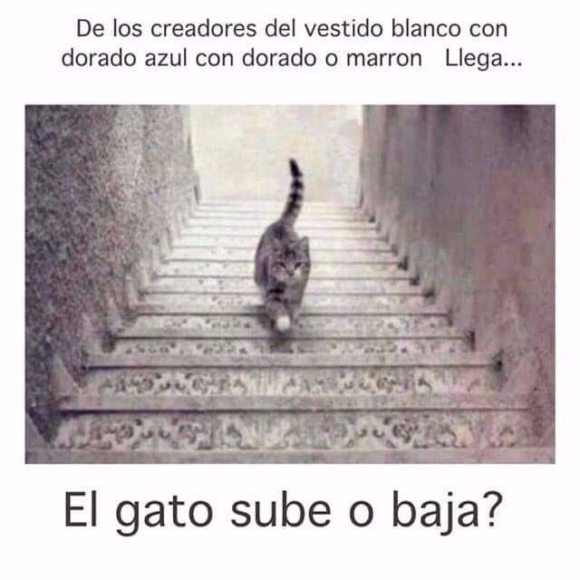 FiverGranada's tweet photo. @Fiver_Music Sube o baja?? Yo ya me he rallado jajajaja http://t.co/4mAuS4ZVej