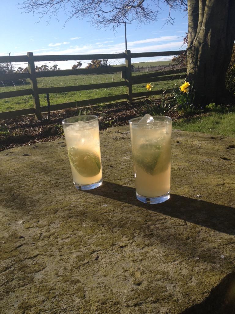 NicolaPrestonHR's tweet photo. Mmm don't mind if I do.... @arbikie vodka, papaya and lime #lovingthissun with @johnptraining http://t.co/dZWJugZLCL