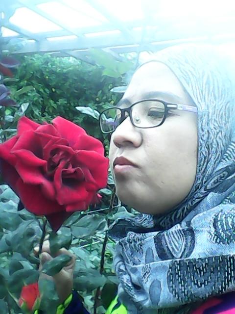 mohlizadin's tweet photo. Sape la yg sudi nak bgi bunga rose nie kt kite yerrrr http://t.co/lL25d7rhBX