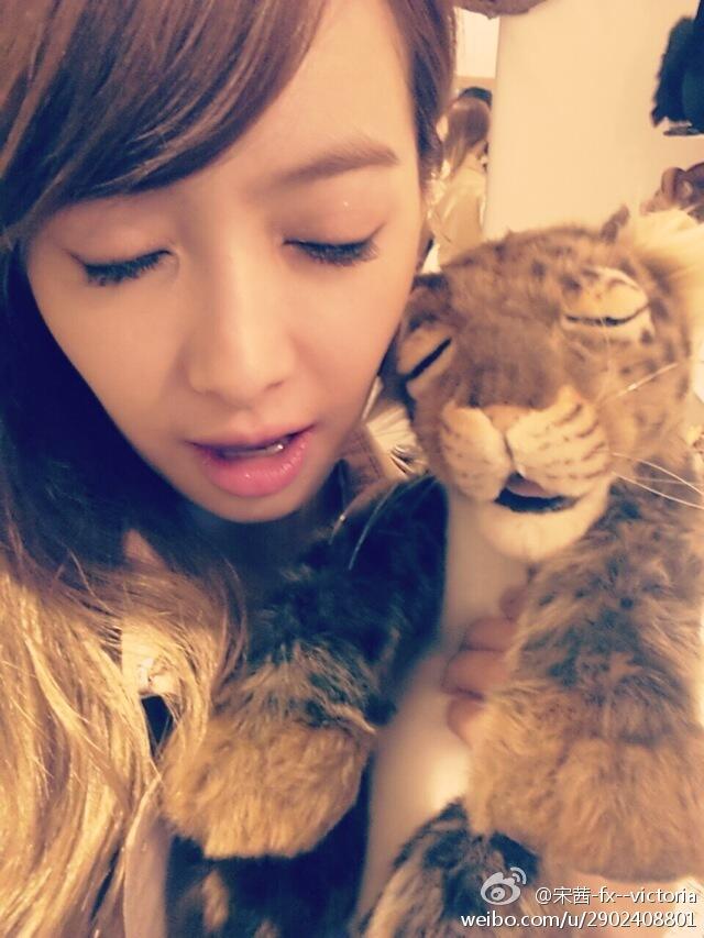 QianLeader's tweet photo. good nite f(ans)☆ lets meet in our dream♡♡ qiannie offline,bye ^^ http://t.co/K78LObQkjE