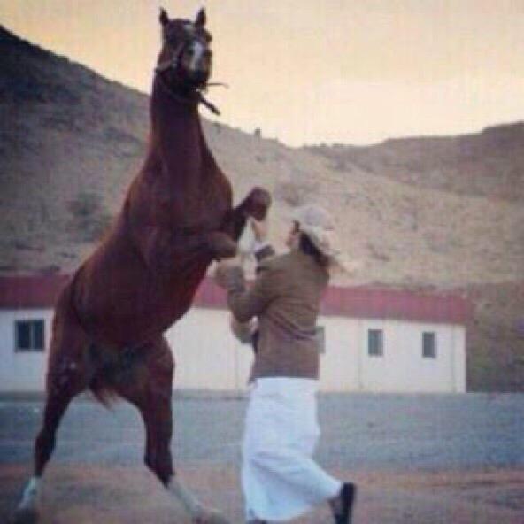 لابتي يوم الملاقا و زرقات الرماح  تطرب بصوت البنادق ودبك خيولها