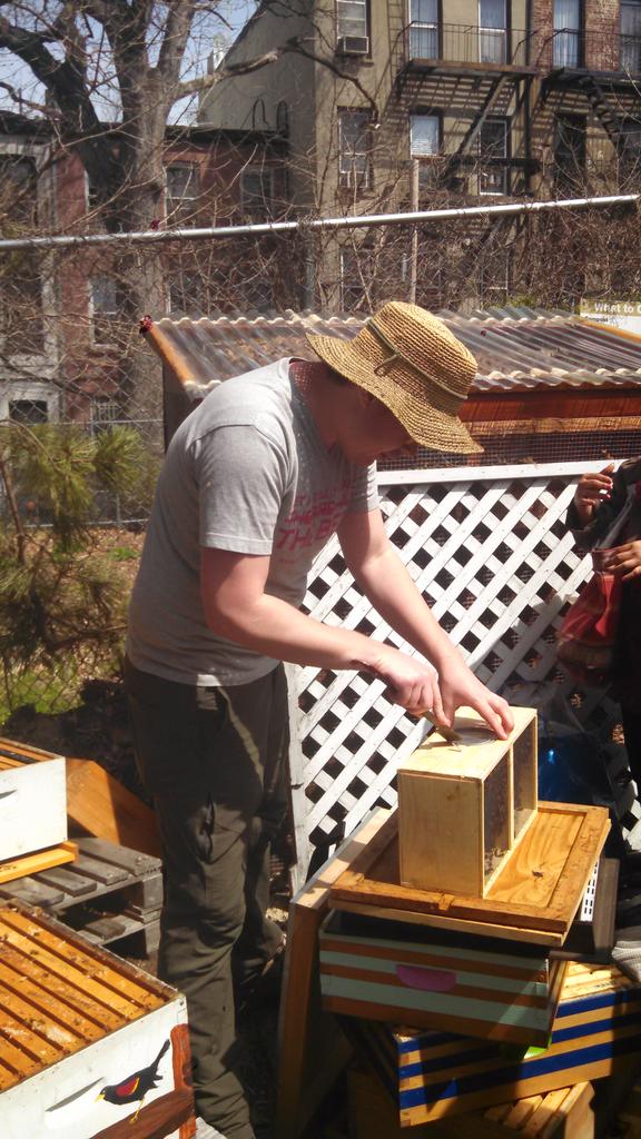 candlestandards's tweet photo. Learning about bees on a sunny afternoon in Brooklyn #iwantbees #ineedland #beeswaxisthebestwax #standardcandleco http://t.co/KSInBo1MwD