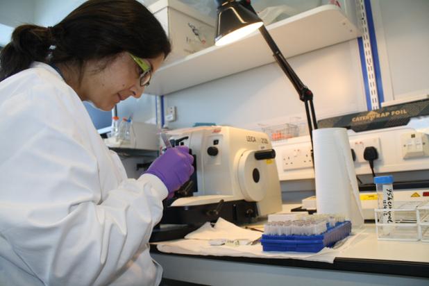 Sarcoma_UK's tweet photo. Find out more about the research programmes your support helps fund: http://t.co/H4GkNeuf1Y http://t.co/LUdZPUkUvq