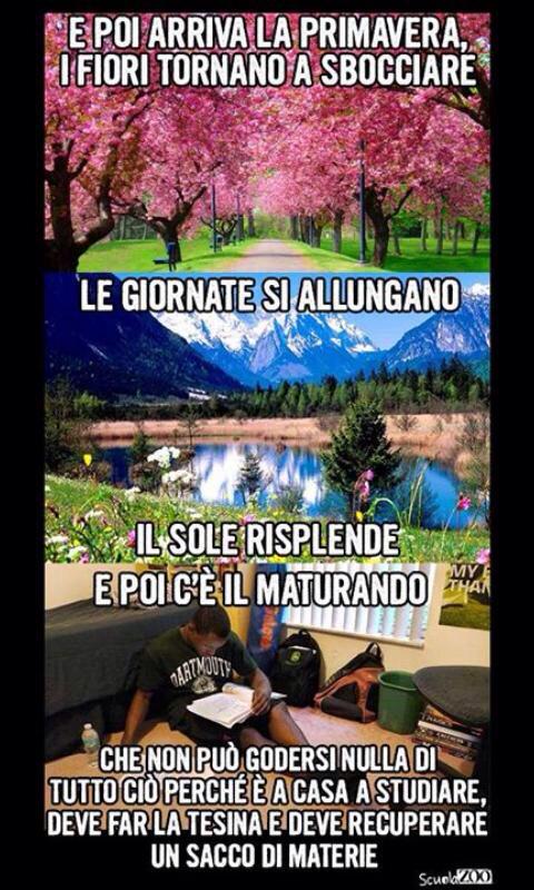 LaraMazzolini's tweet photo. DEVE FARE LA TESINA http://t.co/R90fFN2WO6
