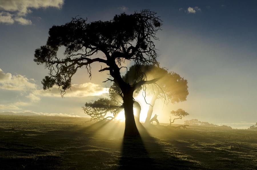 PhotographStory's tweet image. 28 Ethereal Images of Light Rays that Glow #PhotographyTipsandTutorials goo.gl/Axoo8W
