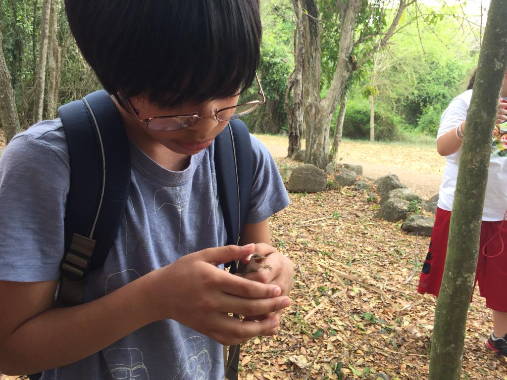 FMAcares's tweet photo. Engaging with the fauna #fmapr http://t.co/VgZ9BWAavx