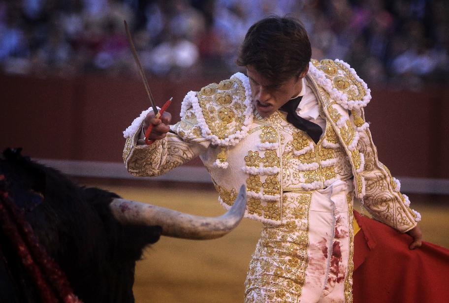 LamadeGongora's tweet photo. Feliz por un día que no se puede describir con Palabras.Gracias A Sevilla y a mi afición por tanto.GRACIAS.Empezamos! http://t.co/WXKVS5svFw
