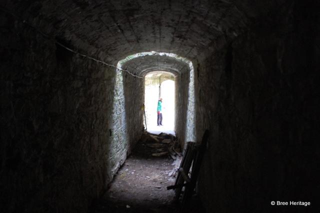 breeheritage's tweet photo. Some of the underground tunnels &amp; passageways at Wilton Castle, #Wexford, used to store coal &amp; other provisions http://t.co/Rv49edyWgx