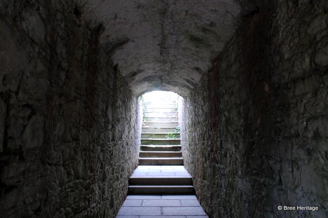 breeheritage's tweet photo. Some of the underground tunnels &amp; passageways at Wilton Castle, #Wexford, used to store coal &amp; other provisions http://t.co/Rv49edyWgx