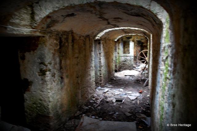 breeheritage's tweet photo. Some of the underground tunnels &amp; passageways at Wilton Castle, #Wexford, used to store coal &amp; other provisions http://t.co/Rv49edyWgx
