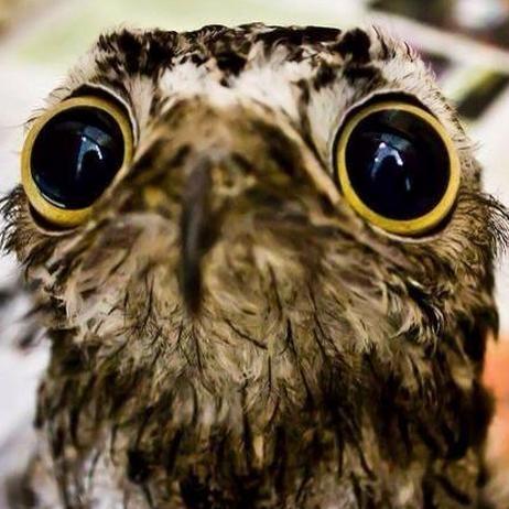 »Tink« tweet media