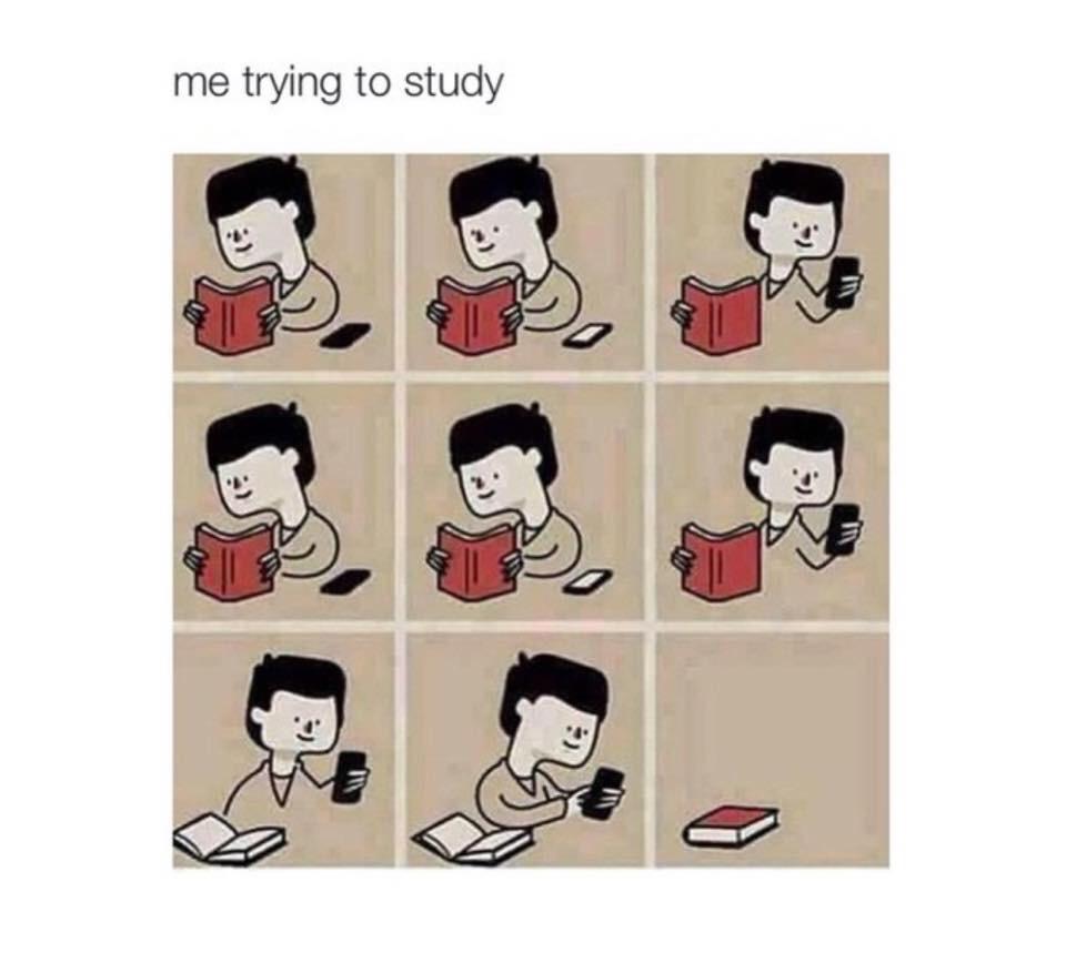 Study girl meme