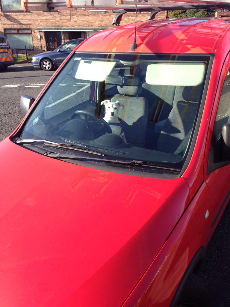 WindowCleaner6's tweet image. Another Day Another Dollar