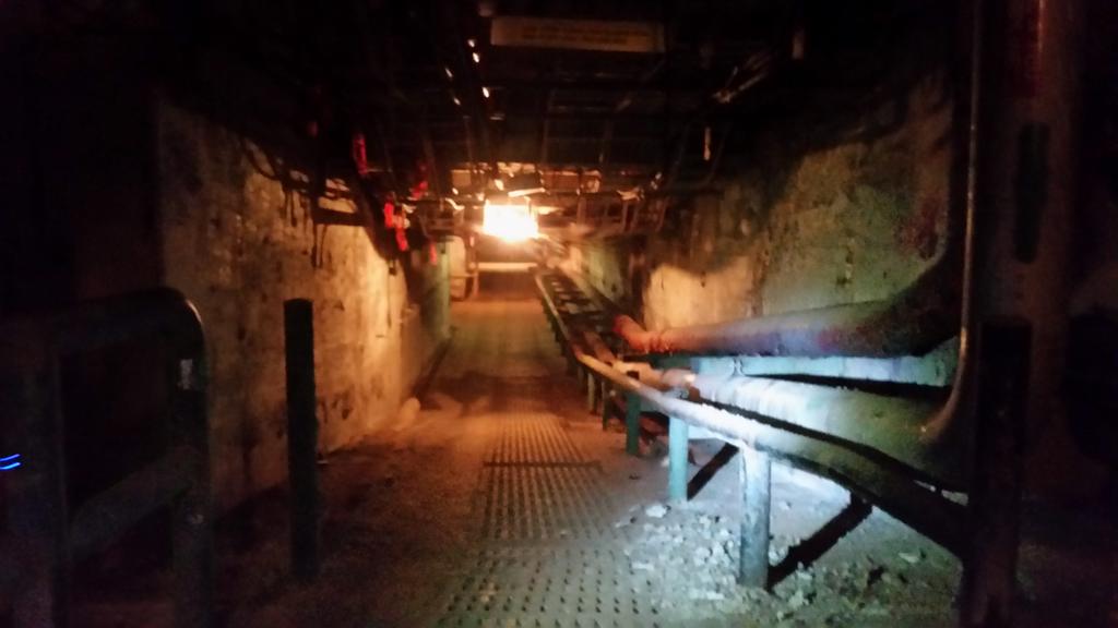 MKutney's tweet photo. Incredible experience today with @Windmill_Green | @zibiCanada - thanks for the tour-  #zibiishere | #voicizibi - http://t.co/RSSAj1GENc