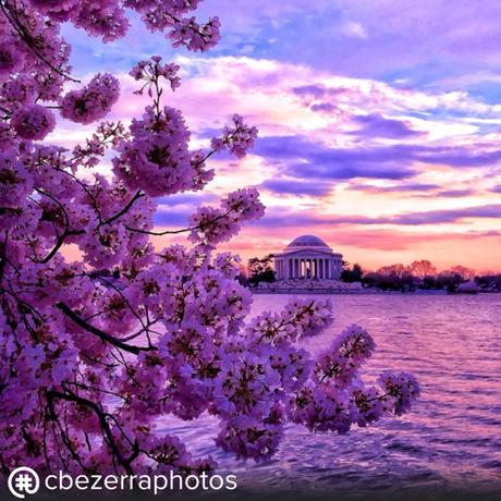 gethashedapp's tweet photo. Check out trending pics of @cbezerraphotos. Get Hashed to follow hashtags instead of people https://t.co/lA6bUocae6 http://t.co/sRlwURHNei