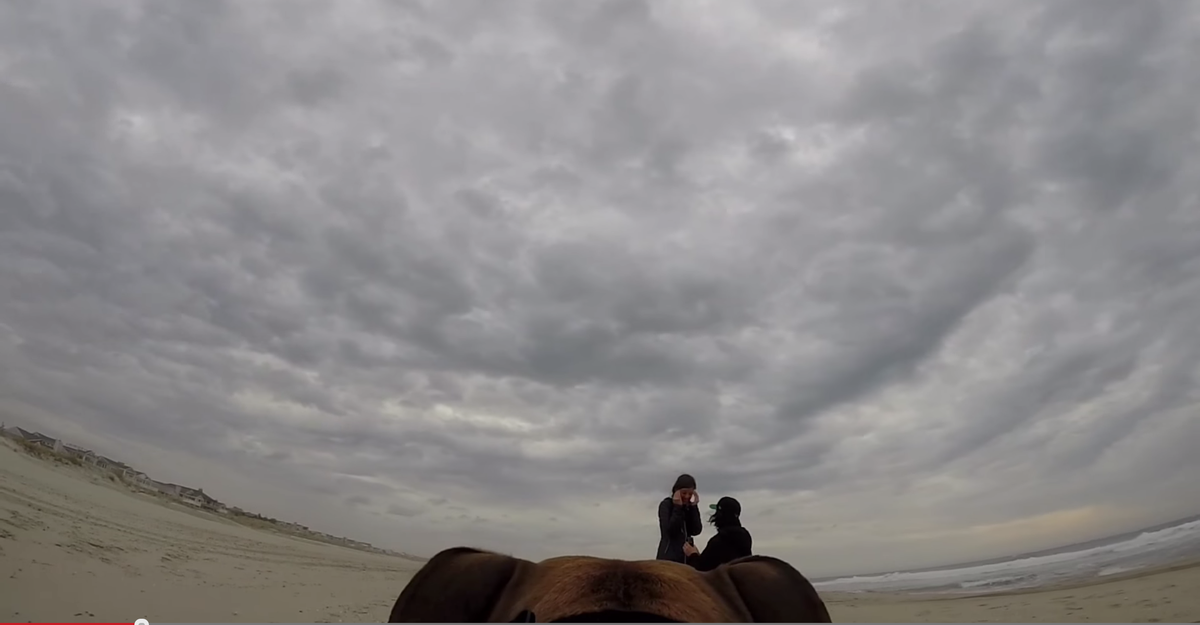 LPBCblog's tweet photo. Wrote about how Roo filmed our engagement from her @GoPro on @Buzzfeed. Please RT. http://t.co/k2E7ToLn9P http://t.co/NhDwnZ68fO