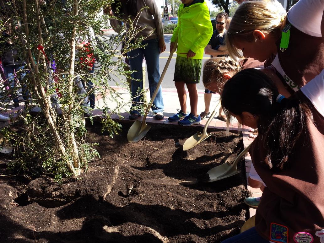 LosGatosTrails's tweet photo. Tree planting #springintogreen http://t.co/S74x5iHmM8