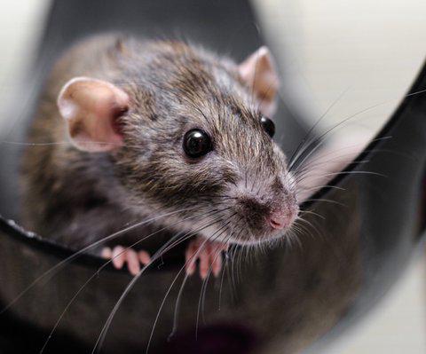 dieorcode's tweet image. Common Misconceptions About Inheritance in #JavaScript: medium.com/javascript-sce… #codeordie