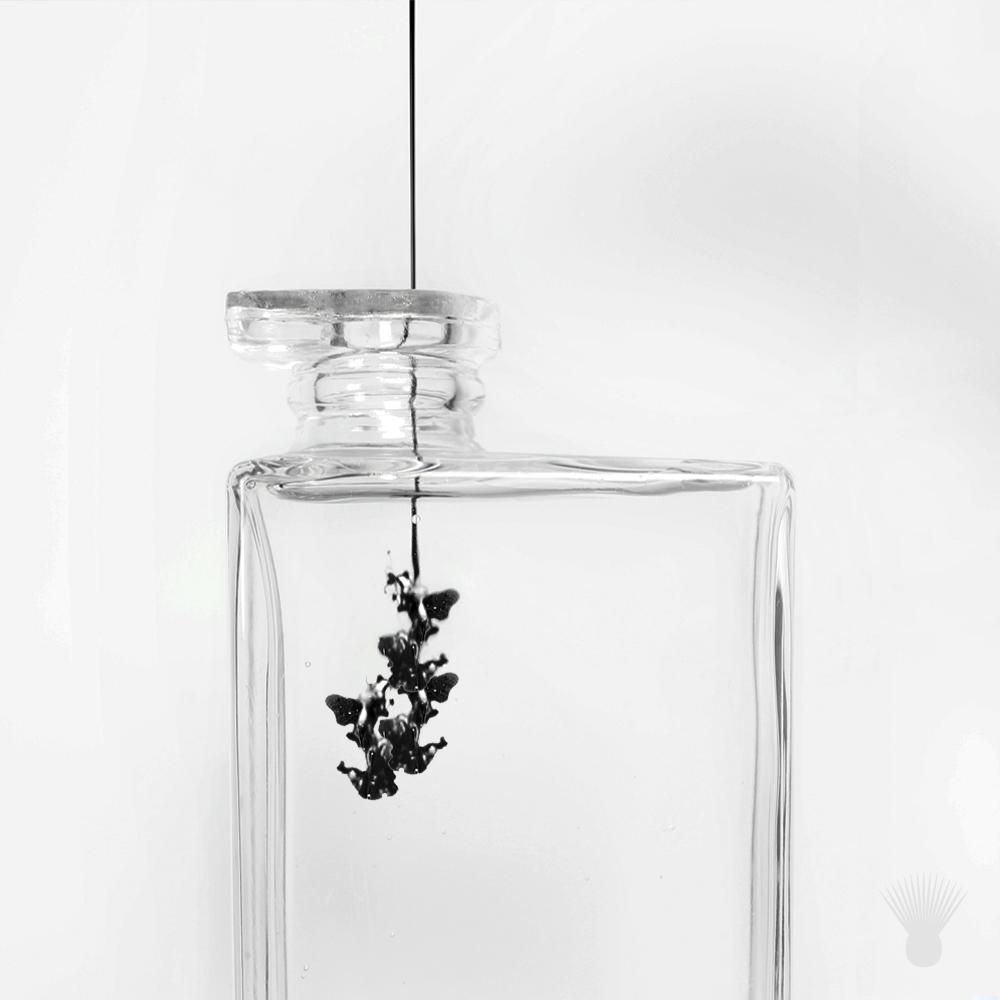 OfficialCorzo's tweet photo. View every opportunity as a blank canvas to create. Salud. #ChallengeExpected http://t.co/ECaSewN8zI