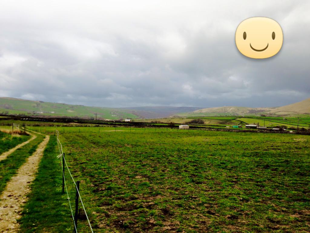 LStutter's tweet image. Things in life that make me happy ..Fields rolled for summer &amp;amp; muck pile shifted ...I know #needtogetout more !!! 🐴😊🚜
