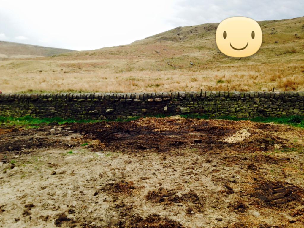LStutter's tweet image. Things in life that make me happy ..Fields rolled for summer &amp;amp; muck pile shifted ...I know #needtogetout more !!! 🐴😊🚜