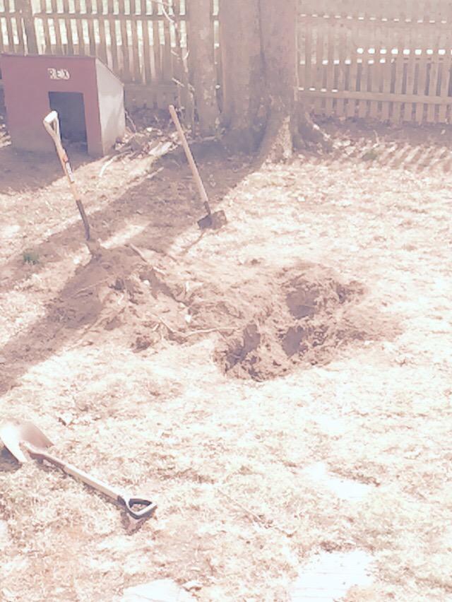 CucamelonCrew's tweet photo. Tyler has problems #wootgethyped http://t.co/2Xt6oilDbn