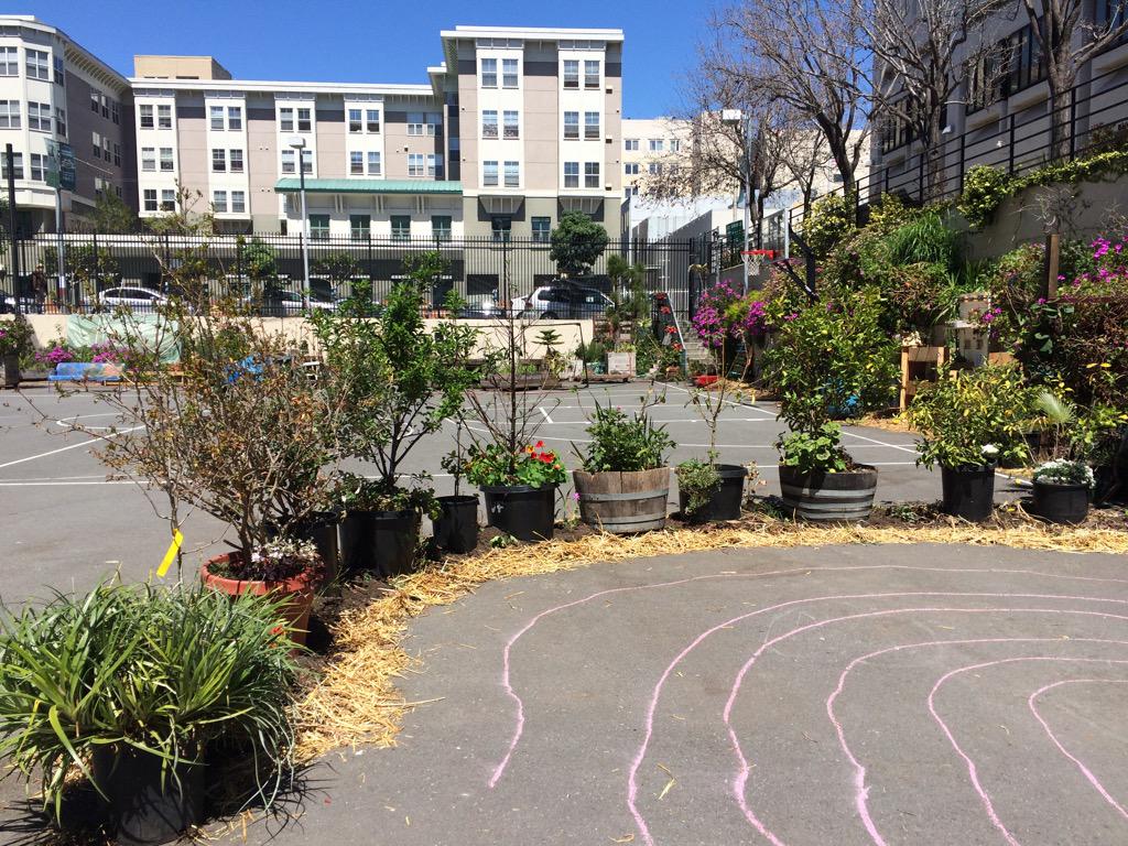 missptt's tweet photo. @funnypersonpson getting our garden labyrinth started off right @GrowDG @TwitterSF #FridayForGood @mopub http://t.co/HQwpa5MH7m
