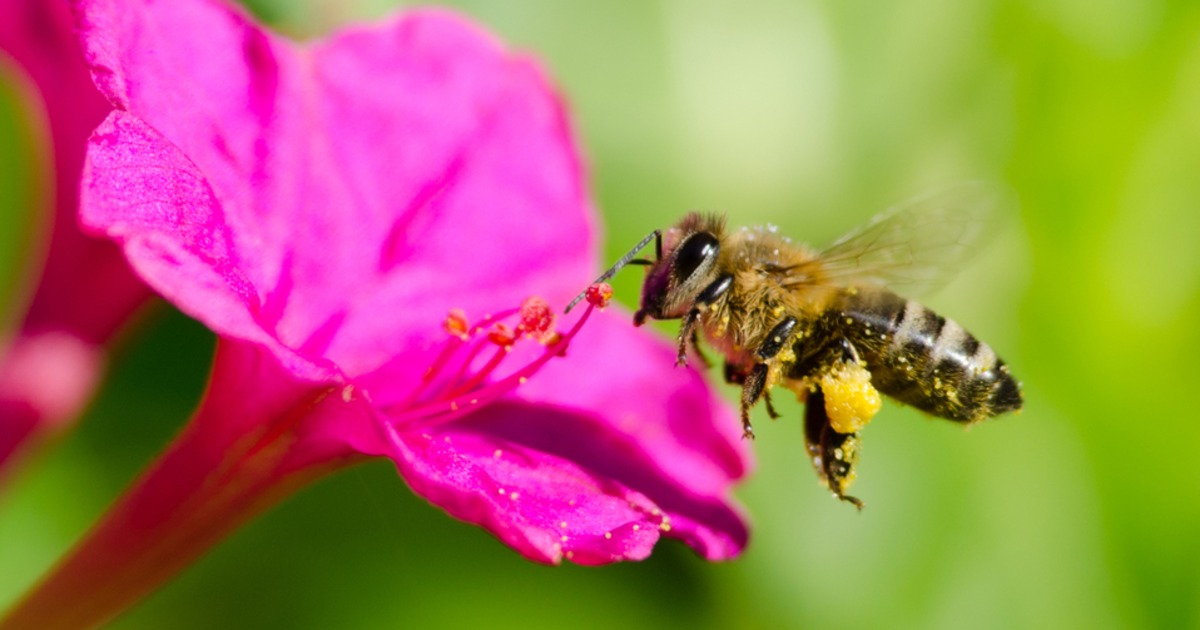 Gerald Franson (GeraldFranson) Twitter