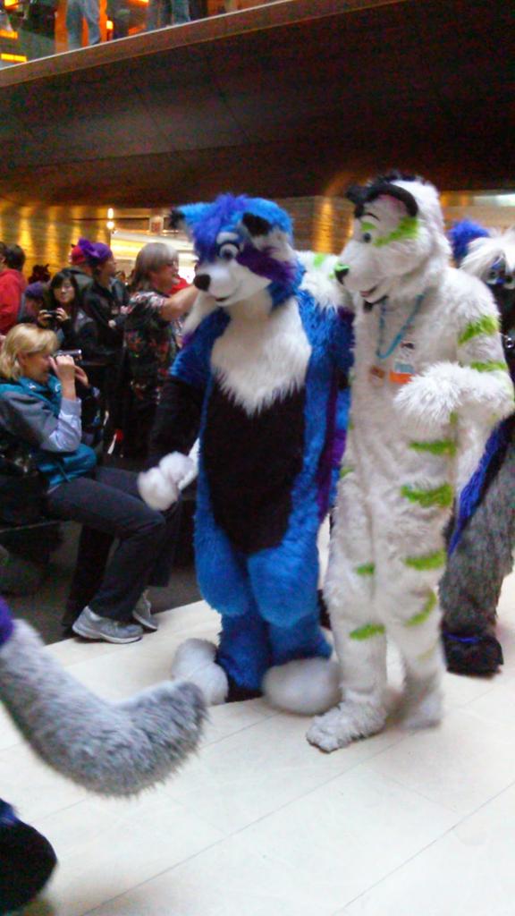 ConTheMalinois's tweet image. Throw back to @FibreKitty being a cutie 
#MFF2013