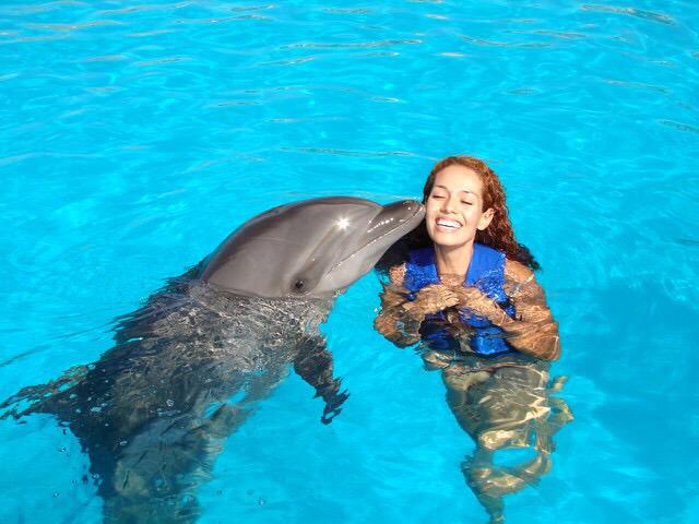 Москвариум поплавать. Плавать с дельфинами. В дельфинарии плавает Дельфин. Девушка плавает с дельфинами. Дельфины плавают с людьми.