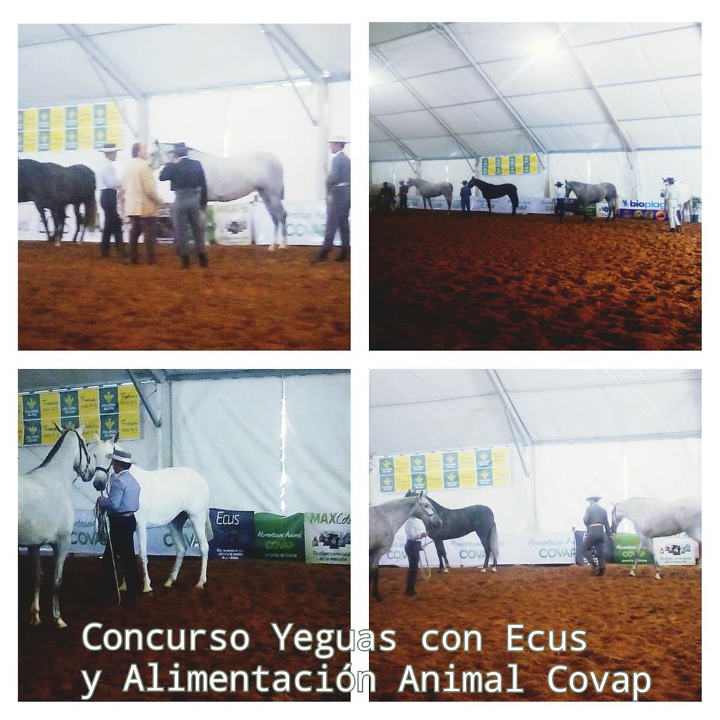 Rafacovap's tweet photo. http://t.co/cAcbRto5My