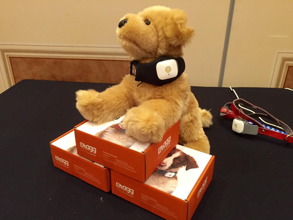Smart_Home_Bros's tweet photo. Cool new stuff from http://t.co/HzvFsQt5yM! @AlarmDotCom @ISCEvents #ISCWest #ISCW15 #ISCW2015 http://t.co/FfZ9QuCQ2c